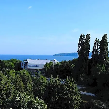 Hotel Duchess 3*